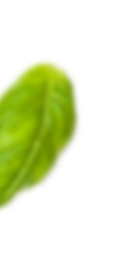 shape-img