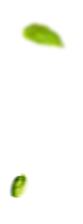 shape-img