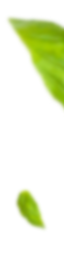 shape-img