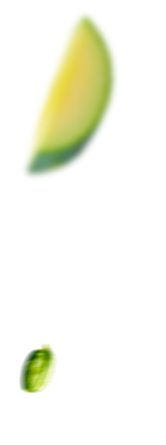 shape-img