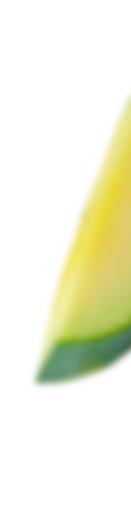 shape-img